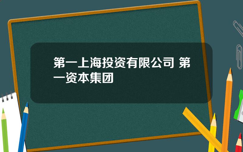 第一上海投资有限公司 第一资本集团